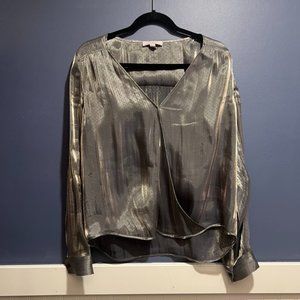Sheer Metallic Blouse